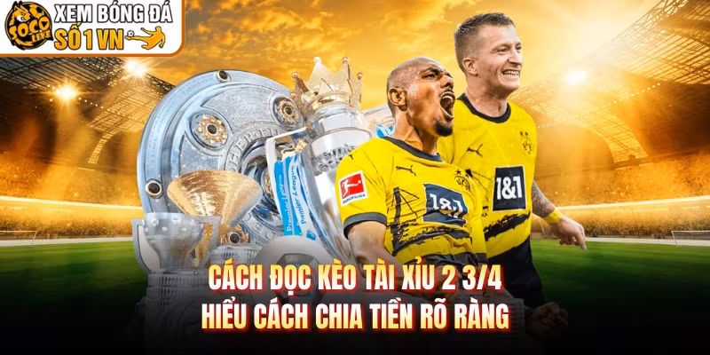 Cách Đọc Kèo Tài Xỉu 2 3/4 - Hiểu Cách Chia Tiền Rõ Ràng